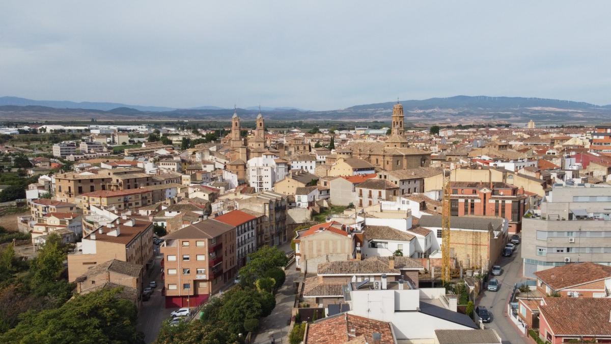 <![CDATA[El Ayuntamiento de Corella alega contra la instalación de una macrogranja de cerdos]]>