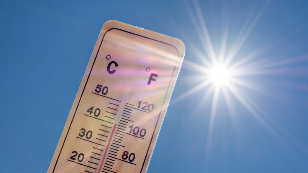 <![CDATA[Anulan el despido de una empleada de viveros que lideró unas quejas por calor]]>