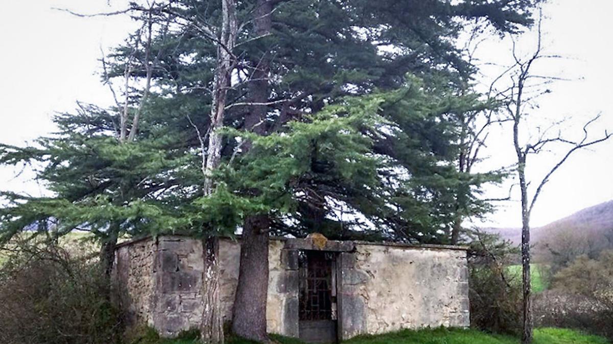 Başlıksız Haber