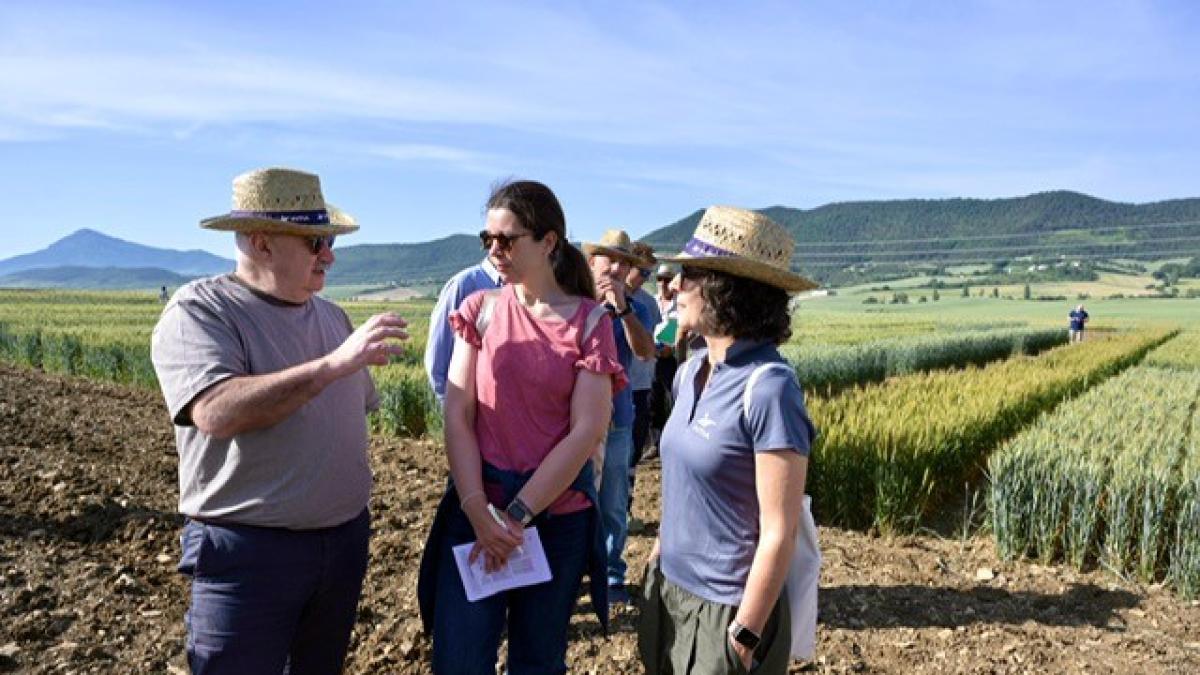 <![CDATA[Lección del consejero Aierdi en el campo: cómo cultivar cereal con menos agua, fertilizantes y fitosanitarios]]>