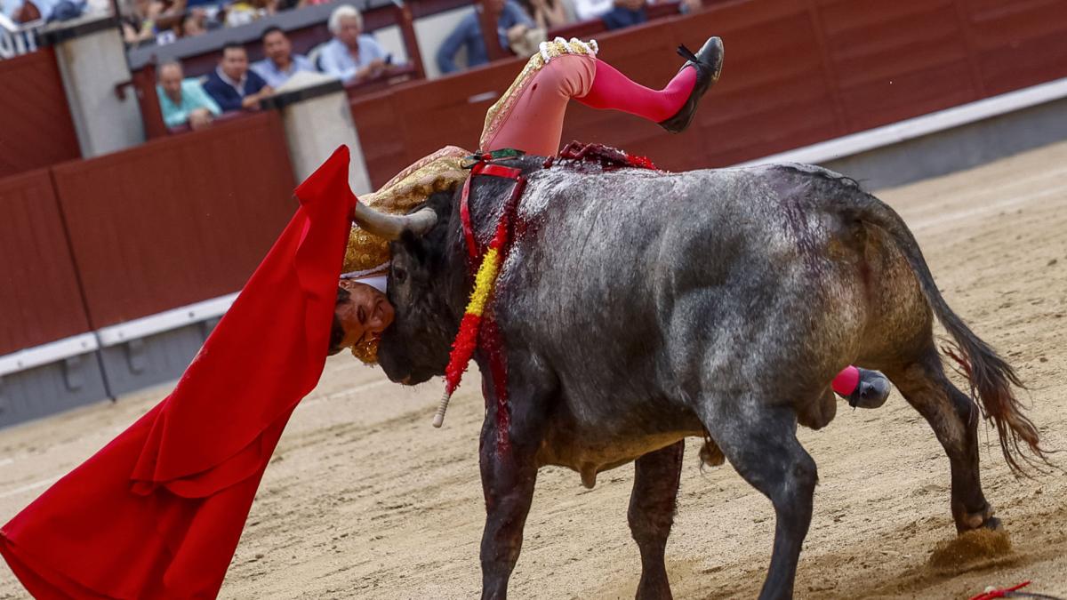 <![CDATA[El torero Paco Ureña, herido con pronóstico 