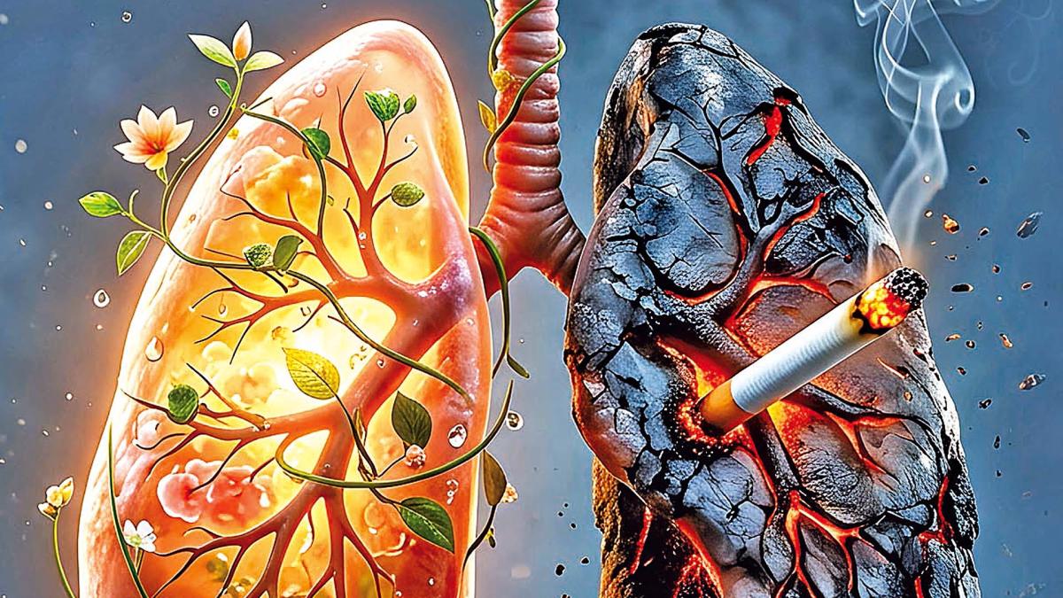 <![CDATA[¿Es cierto que los pulmones se regeneran al dejar de fumar?]]>
