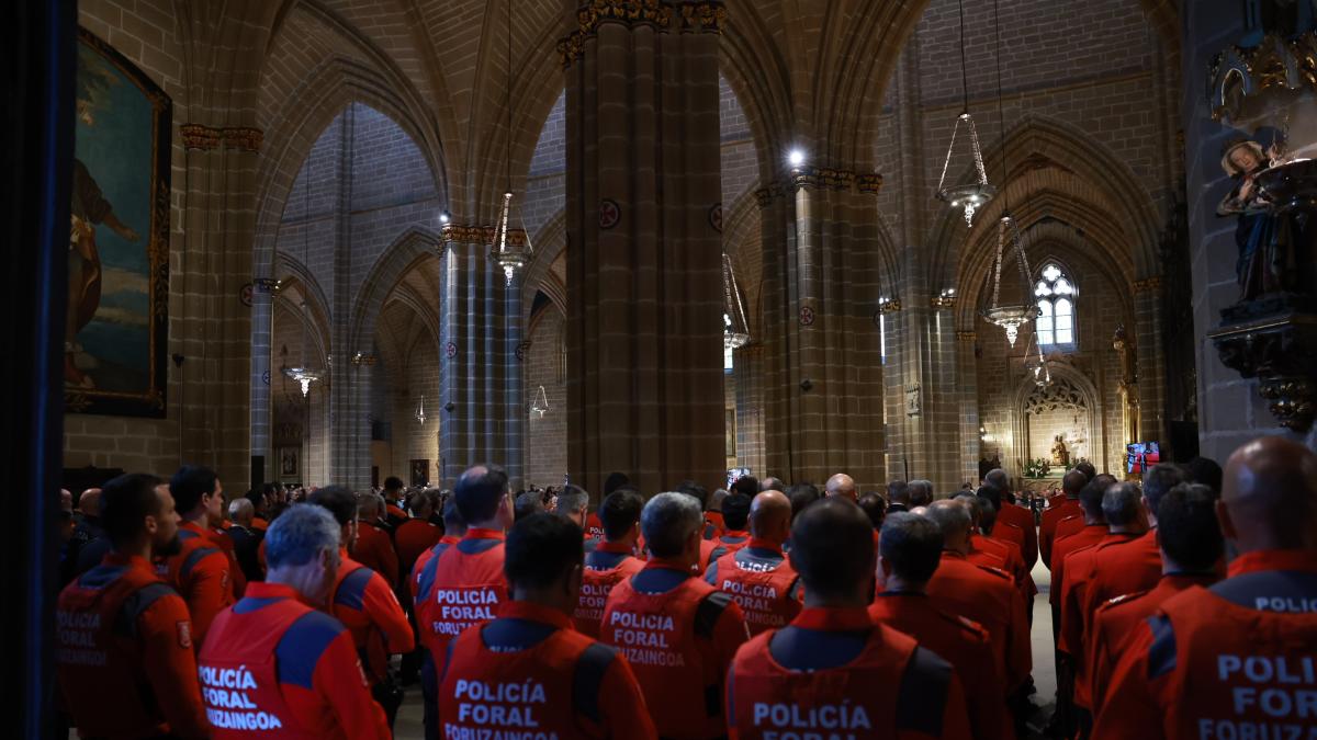 <![CDATA[El Gobierno de Navarra prepara un acto oficial de d
