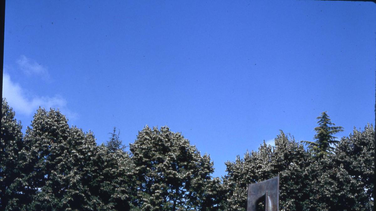 <![CDATA[¿Qué árbol es el causante estos días de un embriaga