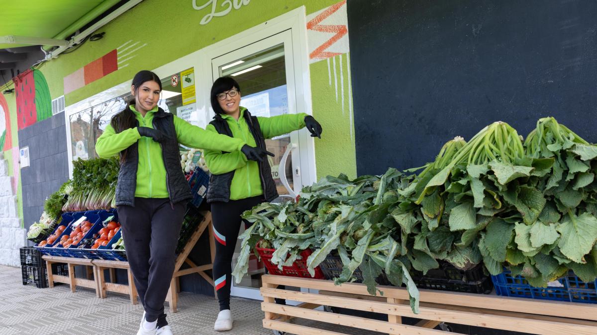 La Alegría de la Huerta del Barrio de Lourdes: "Los vídeos n
