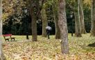 Alerta amarilla en Navarra por fuertes rachas de viento a partir de mediodía