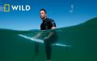 Chris Hemsworth investiga en un documental el alarmante aumento de los ataques de tiburones en Australia