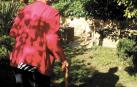 Dos higos de una variedad hallada en el valle de Arakil