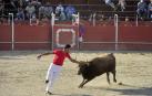 Mori Moreno, venido desde Valencia, trata de colocar una anilla en el pitón izquierdo de un ejemplar en el certamen de ayer en Marcilla