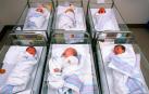 Bebés recién nacidos en sus cunas