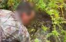 Detenidos dos vecinos de Pamplona por cultivo de marihuana en el Valle de Ollo