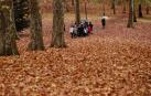 Un parque de Pamplona cubierto de hojas en día de otoño