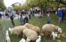 Ambiente de las últimas ferias, en noviembre de 2019
