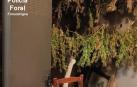 Secadero de marihuana en un trastero