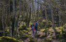 Bosque encantado, en la sierra de Urbasa