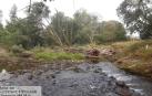 Estado en el que se encontraba uno de los afluentes del río Baztan antes de las labores impulsadas por la Confederación Hidrográfica del Cantábrico