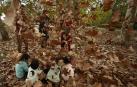 Un grupo de padres juegan con sus hijos lanzándoles las hojas secas caídas de los arboles en un parque de Pamplona
