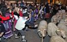 Un rebaño de ovejas, durante el desfile del Olentzero en Pamplona en 2018