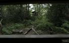 Un parapeto de observación en el bosque de Orgi