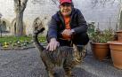 *A:MONTXO A.G.
*F: 2025-03-31
*L: ESTELLA-LIZARRA
*T: RESIDENCIA STO DOMINGO ADOPCION DE GATO
*P: