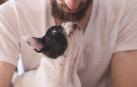 Un perro, junto a su dueño