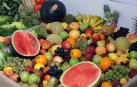Juventud organiza tres sesiones formativas sobre alimentación sana
