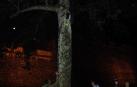 ​El viernes se celebrará un nuevo paseo nocturno para ver murciélagos