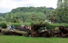 76.000 peronas visitaron el Parque Natural de Bertiz en 2014