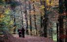 Importante recuperación de los indicadores de rentabilidad del sector hotelero de Navarra durante el pasado verano