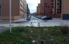 Vecinos de Ezkaba alertan de basura en las zonas verdes
