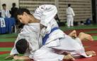 La cantera del judo navarro