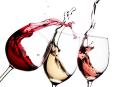 Curso-Taller de tres días sobre el vino