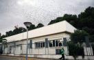 Piden evaluar las necesidades del colegio de Educación Especial Torre Monreal
