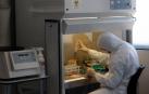Los oncólogos denuncian los riesgos de las terapias milagro