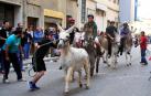 Burros y fiesta en Tafalla