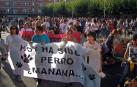 El juzgado archiva en Alsasua el caso de envenenamiento de perros