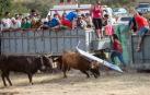 Dos heridos con traumatismo en la traída de las vacas de Cintruénigo