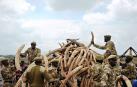 La prohibición de la venta de marfil divide a los países africanos