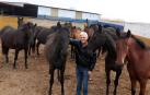 Un caballo ribero, campeón de España