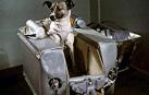 Se cumplen 59 años del viaje espacial de la perra Laika
