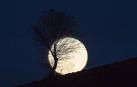 Este lunes se puede ver la luna llena más cercana a la Tierra y, por tanto, más grande de los últimos 70 años. Así, no llegará a verse una luna con características similares hasta el 25 de noviembre de 2034.