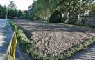 ¿Jardines comestibles en Pamplona?