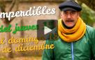 Agenda cultural de Navarra en vídeo hasta el 18 de diciembre