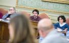 El pleno rechaza la declaración que apoyaba a los detenidos en Alsasua