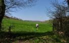 Recorrido por la Cañada de 'Los Toros' propuesto por 'Conocer Navarra'.