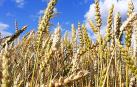 Los sindicatos prevén que 150 jóvenes solicitarán ayudas para ser agricultores