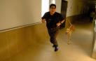 Dos  galgos están cambiando, a mejor,  el ritmo de vida del  centro hospitalario benito menni de elizondo.