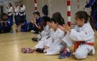 Arrosadía acoge el taekwondo