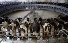 Una cooperativa navarra proyecta en Soria la mayor vaquería de Europa