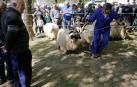 Elizondo saborea feria por primavera